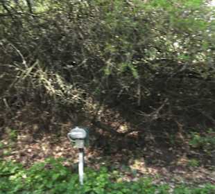 Gartenschau