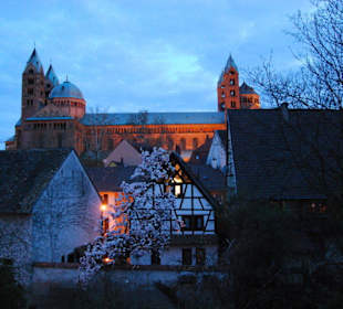 In der Dämmerung