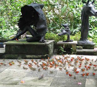 Mahé, Tom Bowers Sculpture Studio