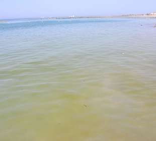 Wasserqualität Makadi Bay