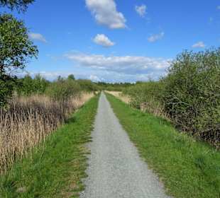 Impressionen vom Bederkesaer See