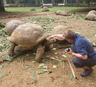 Vanillapark mit Riesenschildkrötenzucht