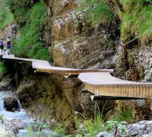 Stege entlang des Baches