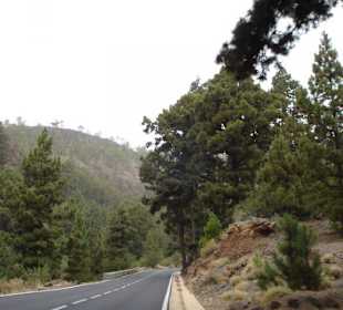 Auf dem Weg zum Nationalpark