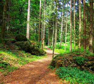 Wanderung zum Bärenfels