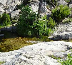 Impressionen von einer Wanderung an der Massane