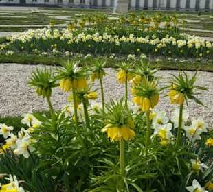 Schlosspark