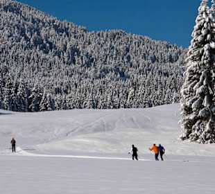 Wandern Weissensee
