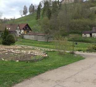 Premiumwanderweg Hochgebürzelt