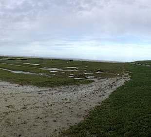 Wandern Pellworm