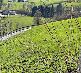 Wandern Eben im Pongau