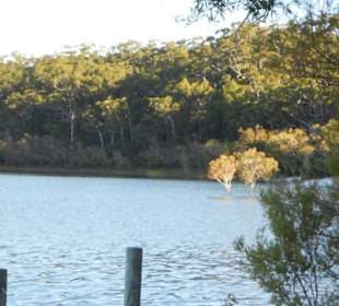 Fraser Island
