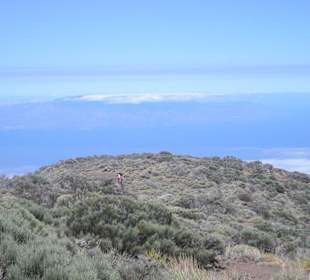 Park Teide
