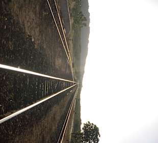 Bei Tsavo (Bahnstrecke Mombasa-Nairobi)