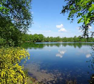 Der Ellisee im Sandtrockenrasen von Achim