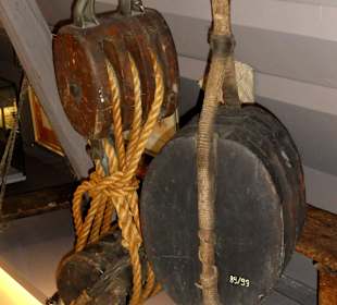 Exponate des Museums