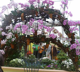 Blumenhalle Festungspark Ehrenbreitstein