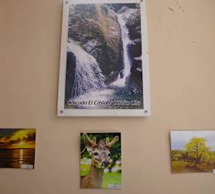 Im Infozentrum des Nationalparks