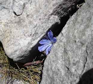 Wanderung auf denTafelberg