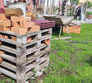 Viel für die Insekten