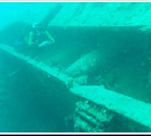 Tauchgang zum Wrack El Mina