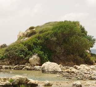 Felsen bewachsen