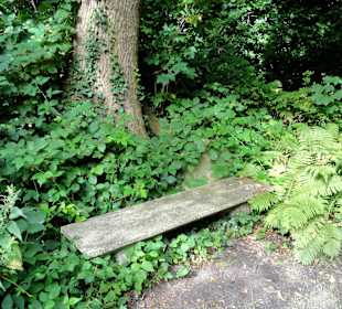 Spaziergang durch Thieles Garten