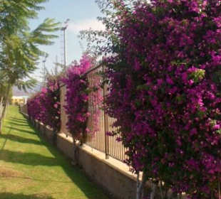 Parque del Sur in San Fernando