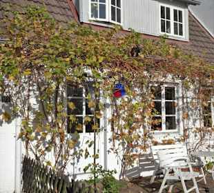 Spaziergang durch Övelgönne