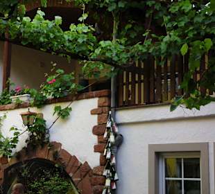 Weingut Thesen