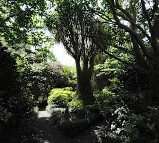 Eden Garden ein Paradies mitten in der Stadt