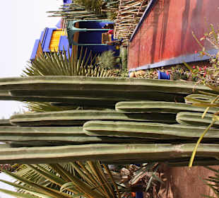 Blick auf's "Ferienhaus"