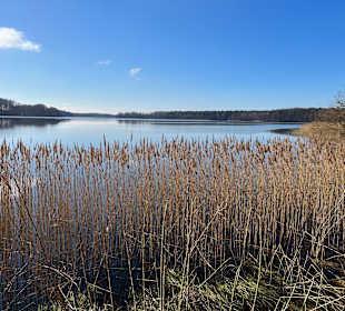Dobbertiner See