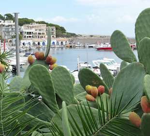 Port de Soller - ein Traum