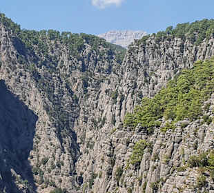  Adler Canyon