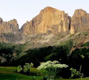 Das Panorama des Rosengartens