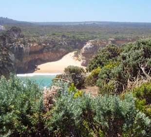 Loch Ard Gorge