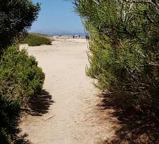 Wandern Can Picafort