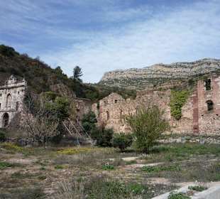 Viñedos, monasterios y paisajes preciosos