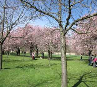 Schlossgarten Schwetzingen