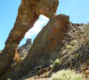 Zapato de la Reina, Schuh der Königin