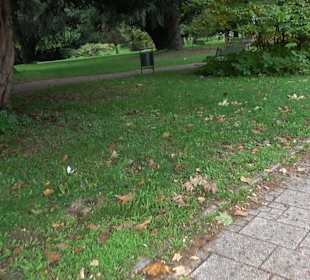 Kneipp Anlage Kressbronn