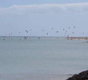 Buntes Treiben auf dem Wasser
