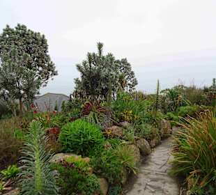 Minack Open Air Theatre