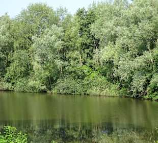 Tour durch den sommerlichen Park Links der Weser