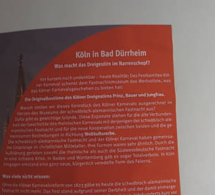 Fastnachtsmuseum Narrenschopf