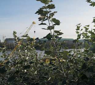 Jungfernstieg