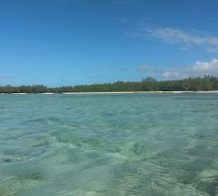 Blick vom Boot auf die Insel