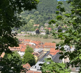 Schloss Heidelberg