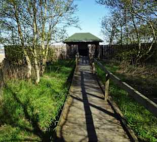 Die Beobachtungsstation am Ende des Weges